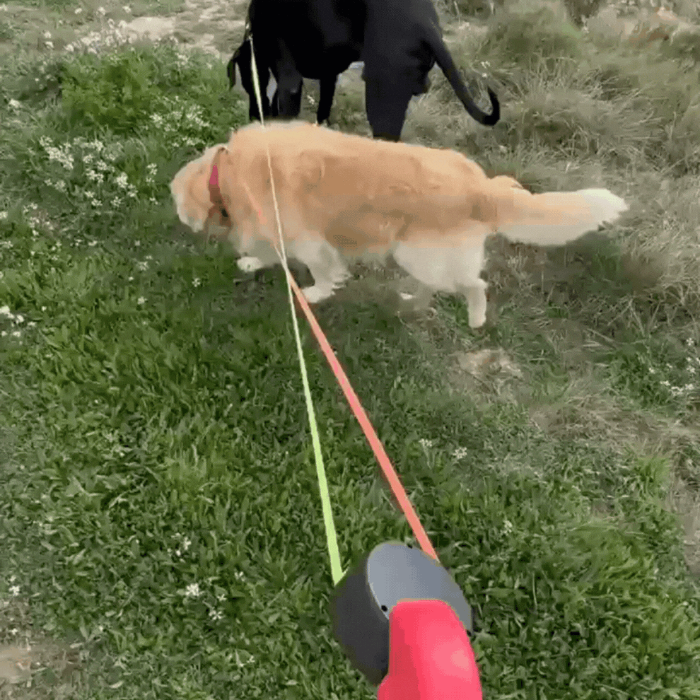 Famous Luxe™ DuoControl Leash